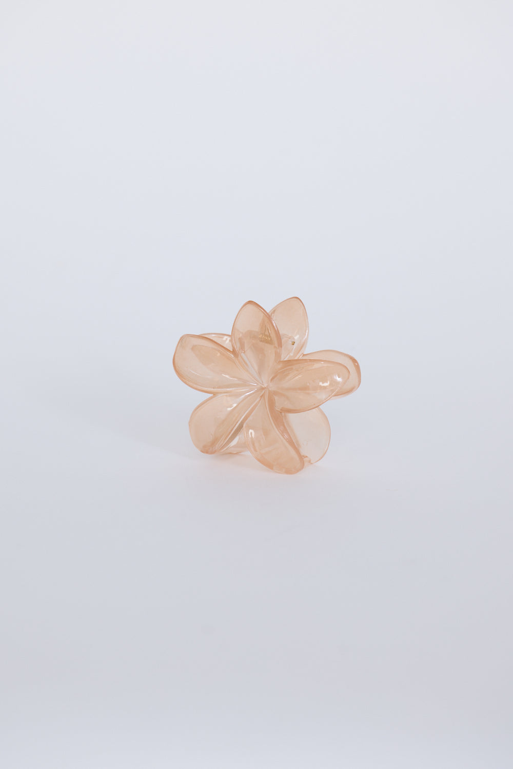 Garcelle Hair Claw
