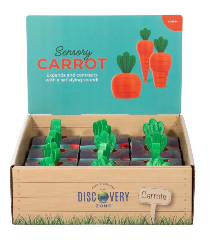 Discovery Zone 3D Sensory Carrot