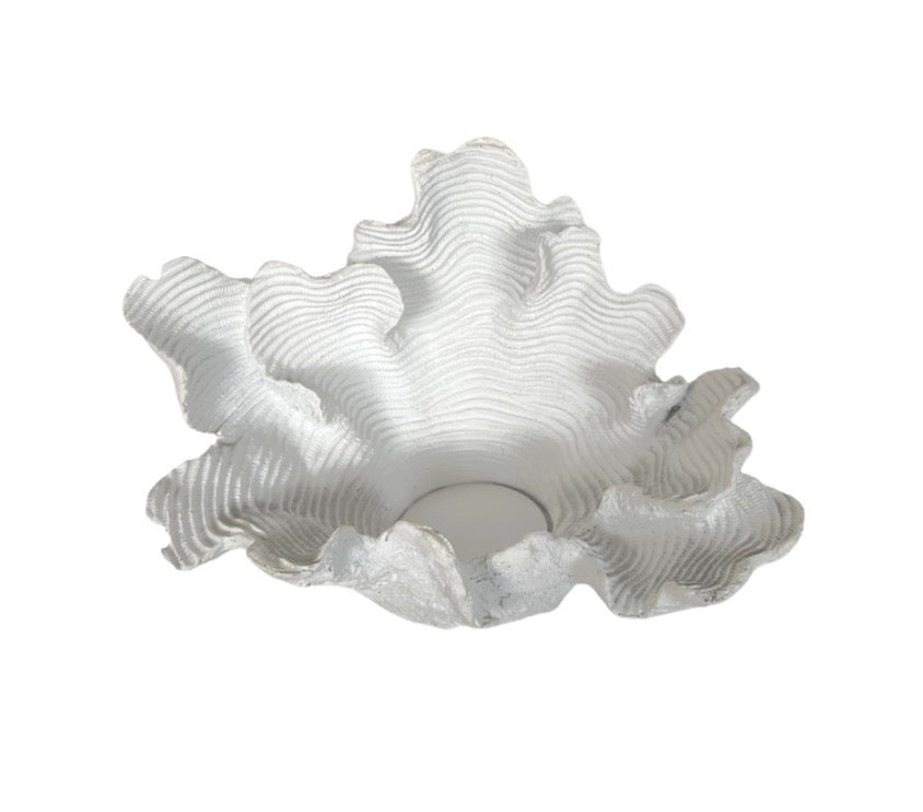Aquarius Resin White Wall C/Holder Clam