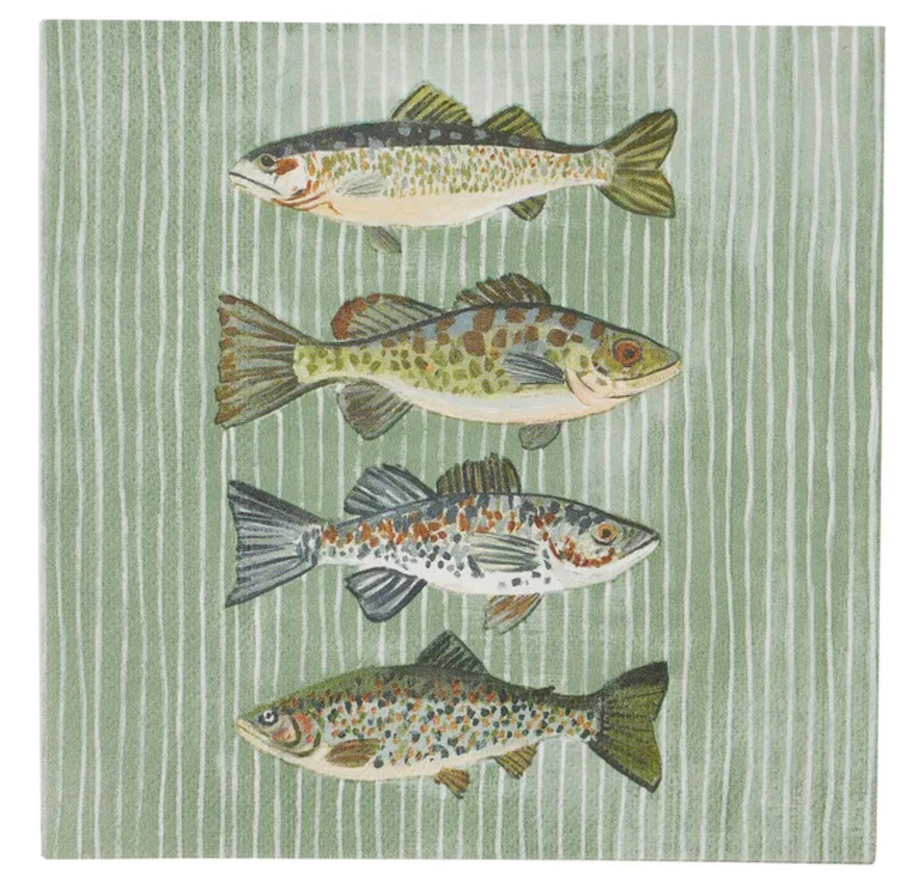 Shad 20pk 3 Ply 33cm Napkin Multi