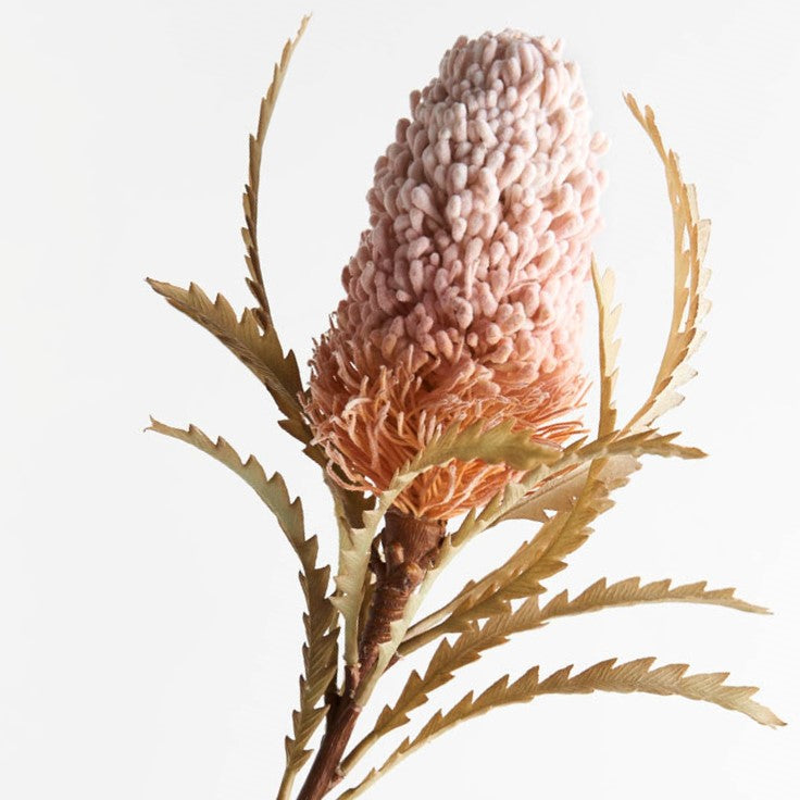 Banksia Acorn Light Pink