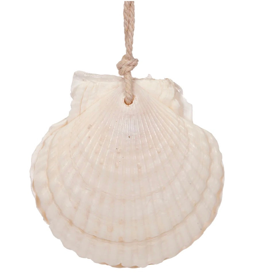 Hanging Clam Ornament