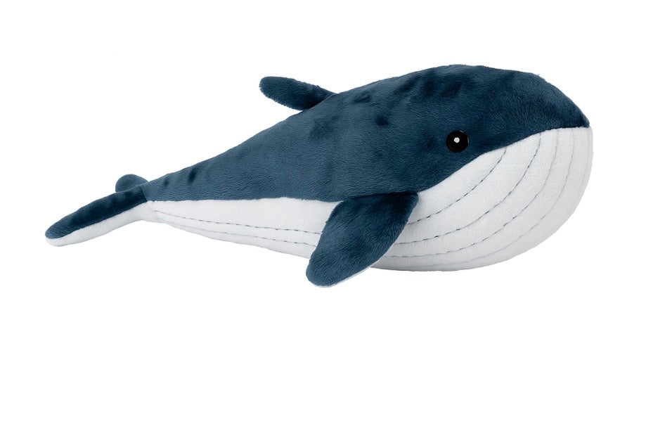Lulu The Whale