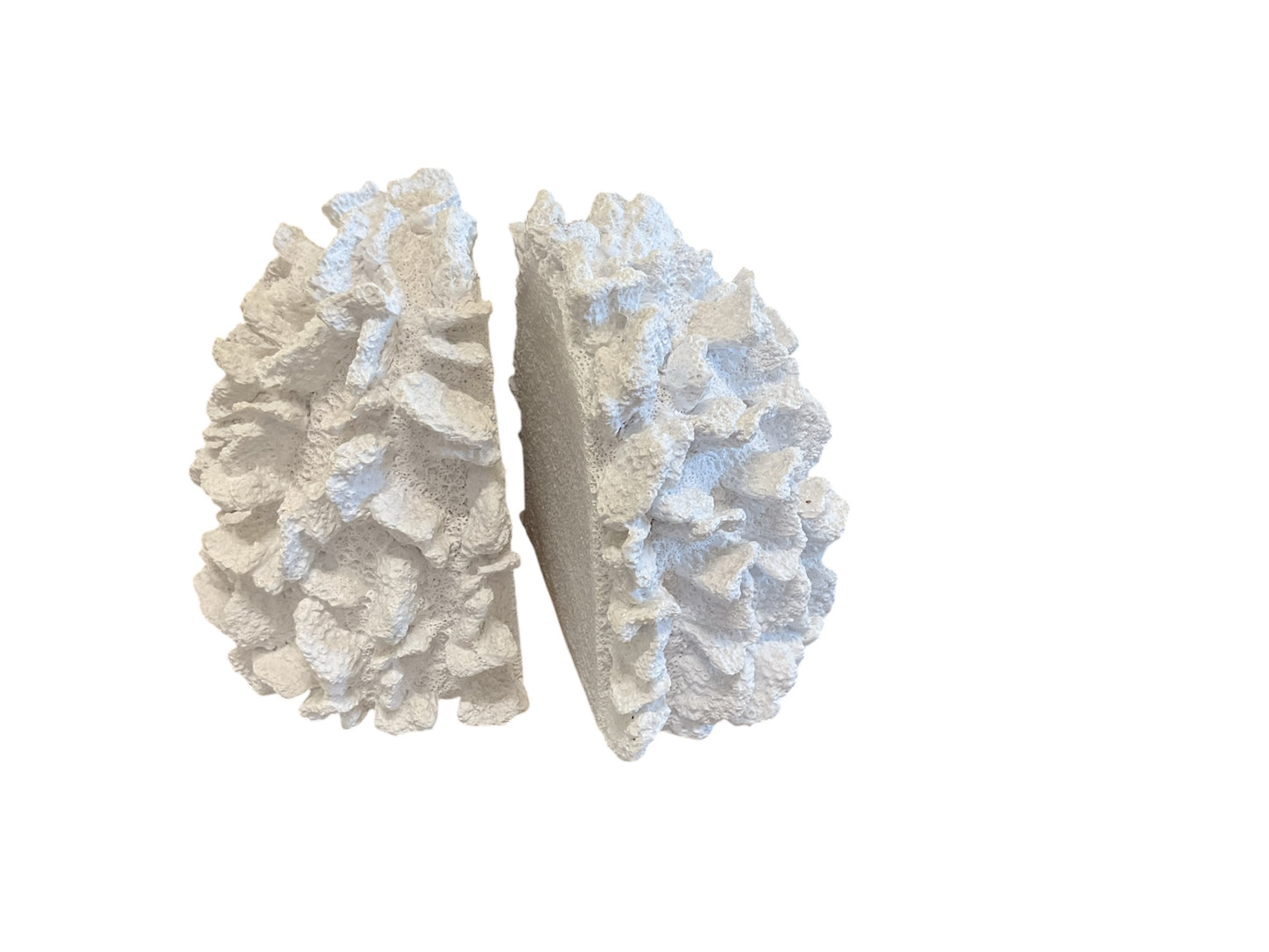 Coral S/2 Resin Bookends