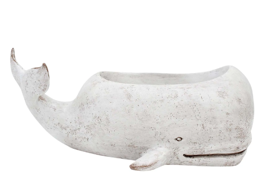 WHALE LRG PLANTER WHT