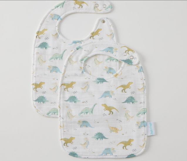 Dallying Dinosaurs Bib Set of 2