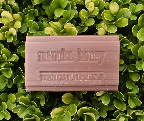 HEALTH SOAP BAR 100G