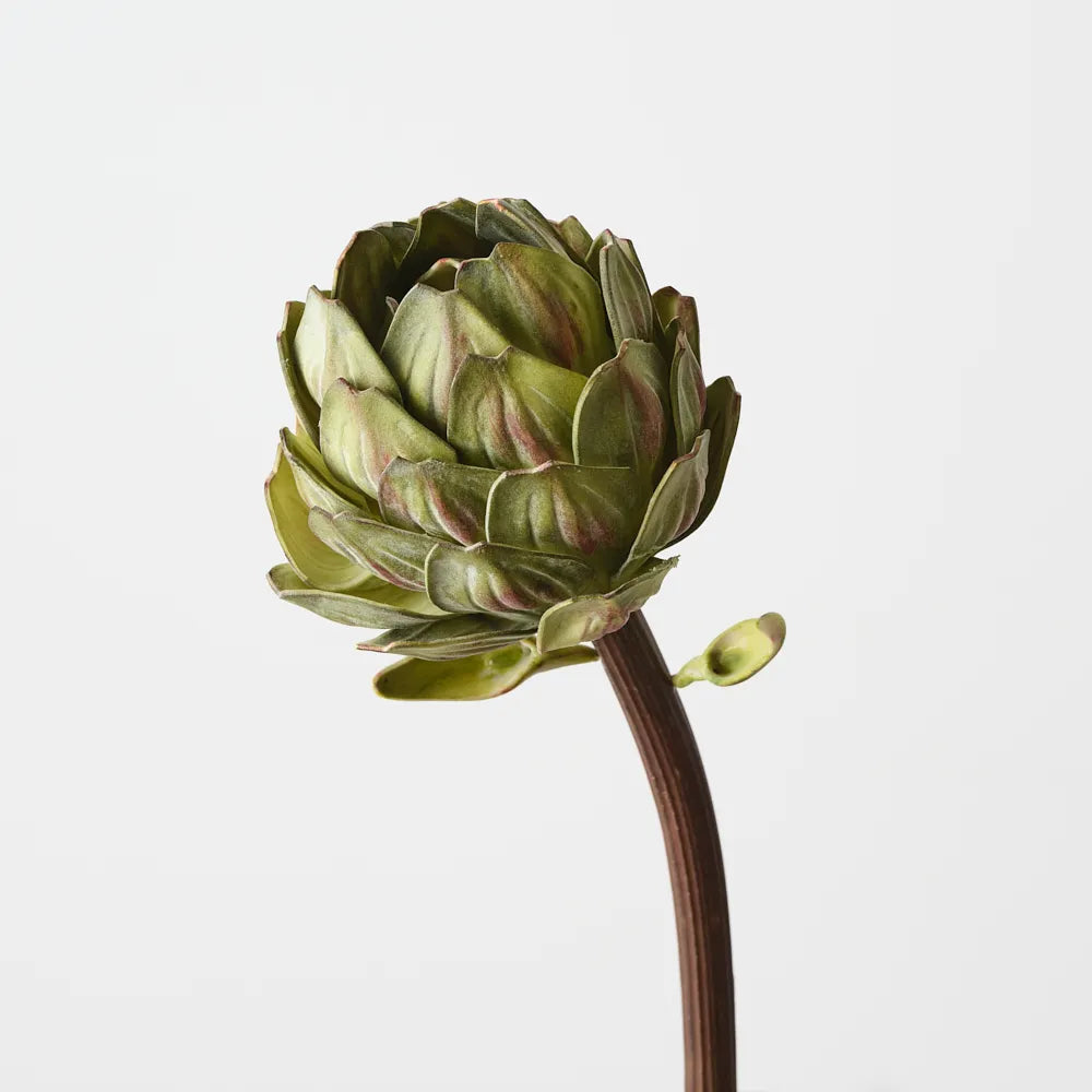 Artichoke Stem
