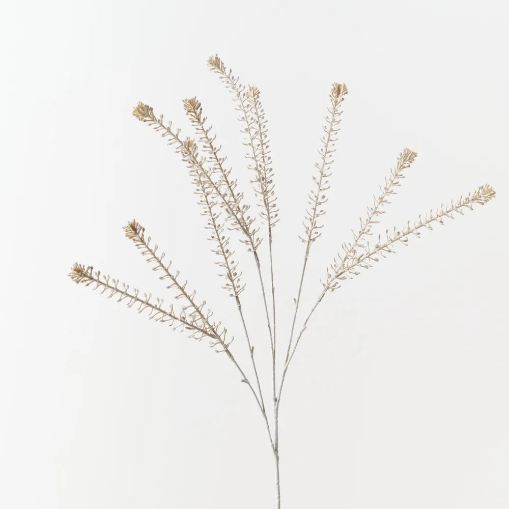 Peppergrass Spray