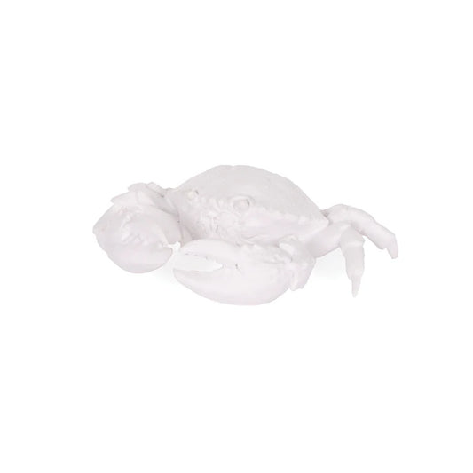 WHITE SMALL CRAB