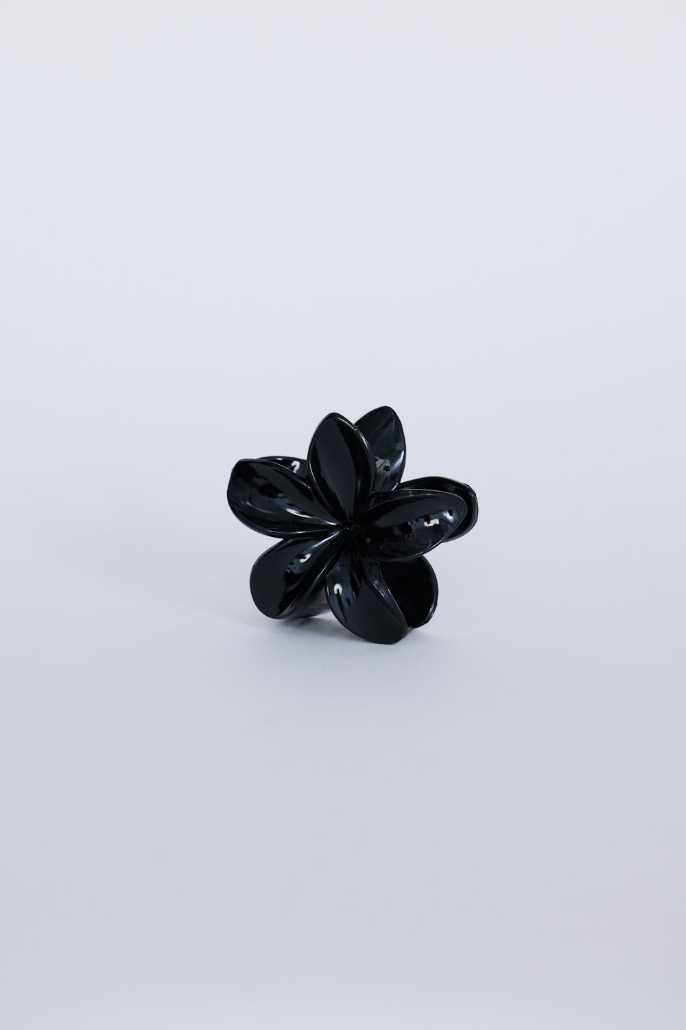 Garcelle Hair Claw