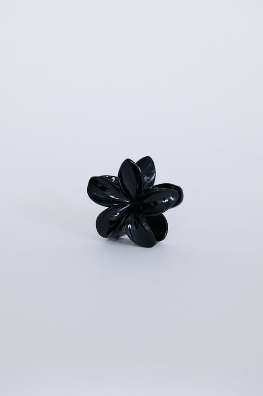 Garcelle Hair Claw