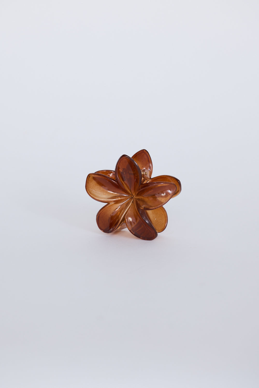 Garcelle Hair Claw