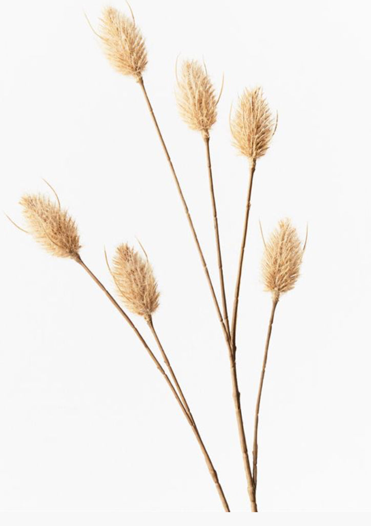 Bunny Tail Spray