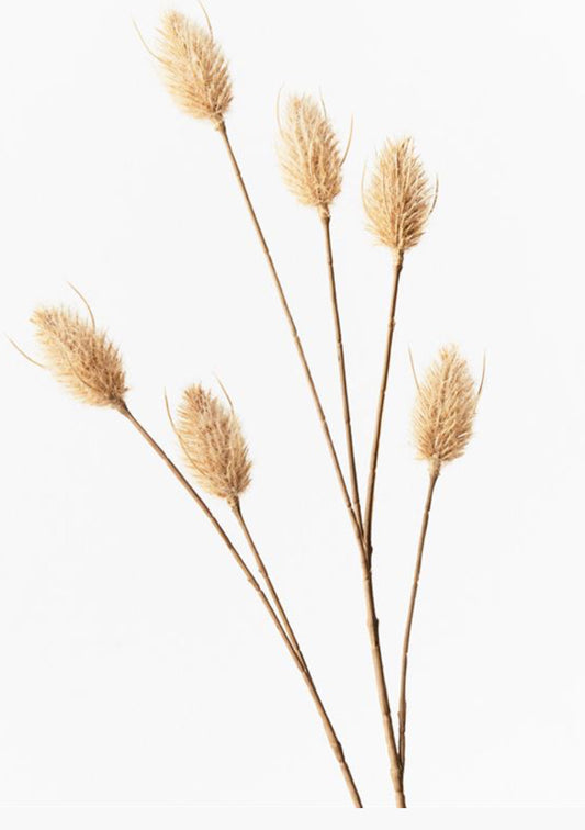 Bunny Tail Spray