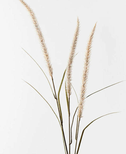 Fountain Grass Spray