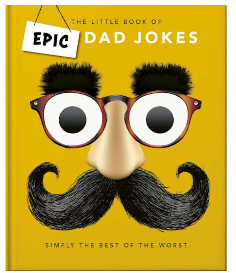 The Little Book of Epic Dad Jokes.