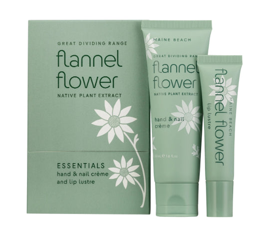 Flannel Flower Essential pack
