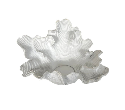 Aquarius Resin White Wall C/Holder Clam