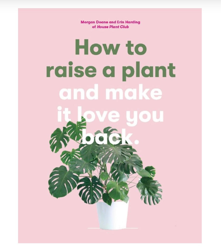 How To Raise A Plant