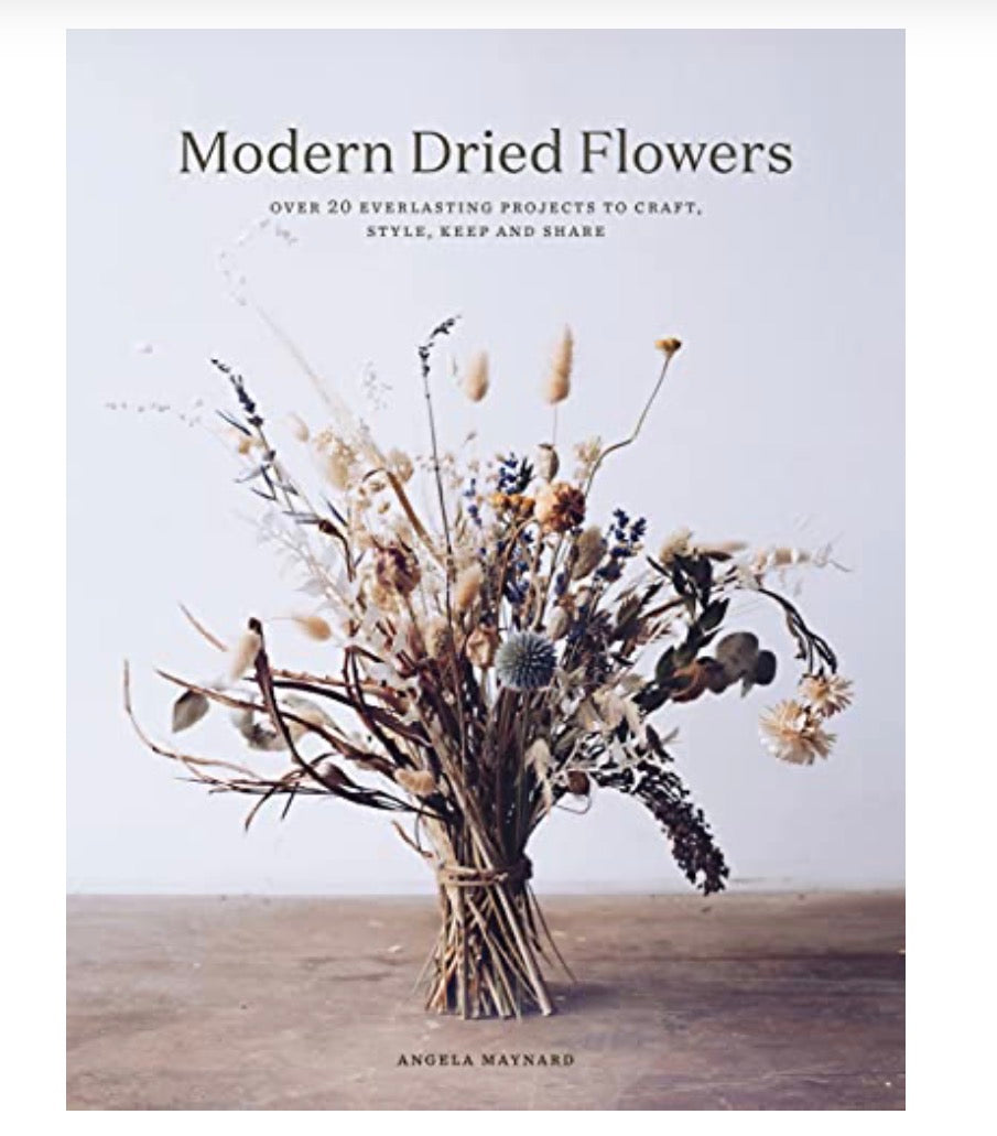 Modern Dried Flowers