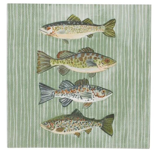 Shad 20pk 3 Ply 33cm Napkin Multi