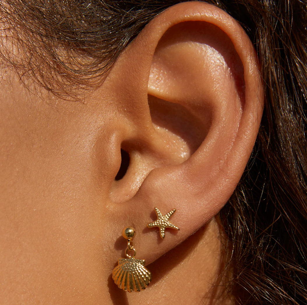 starfish gold studs