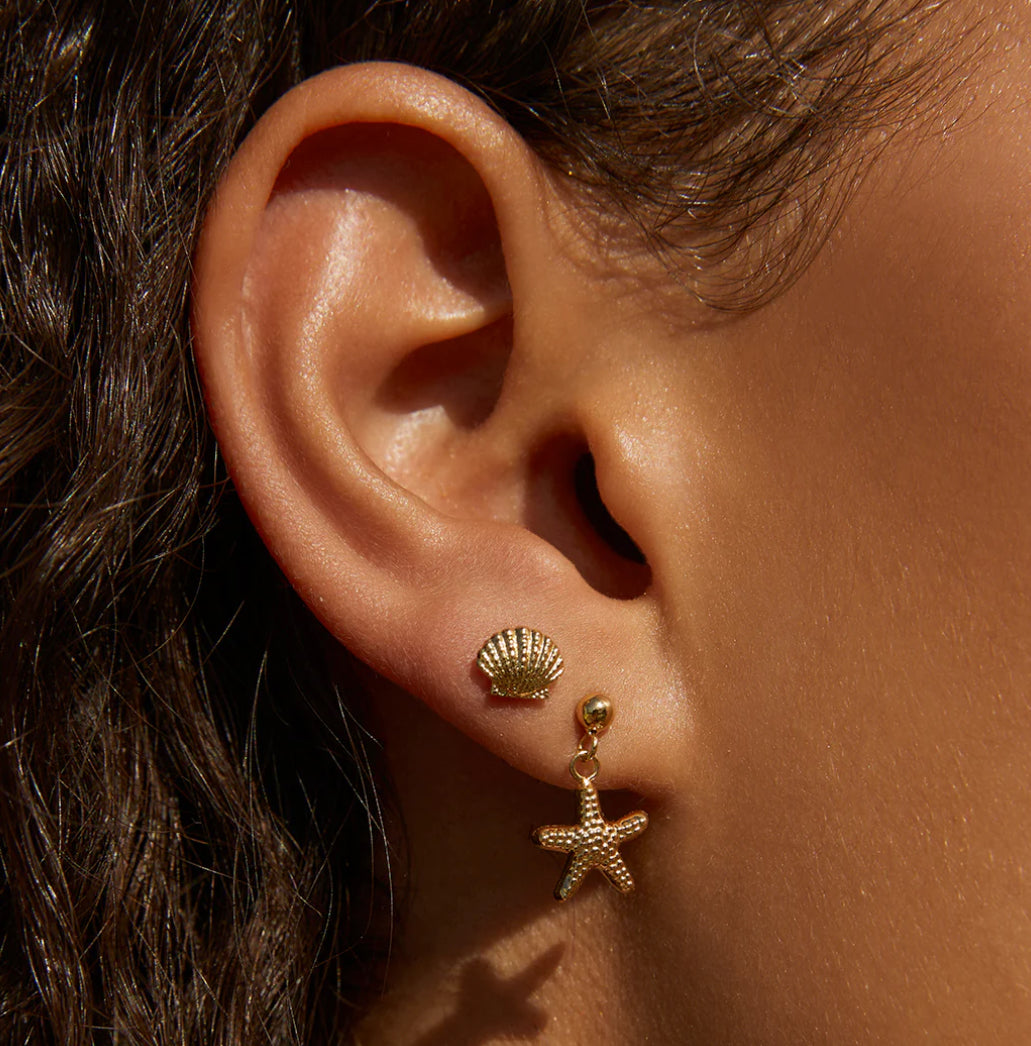 Shelli Gold Studs