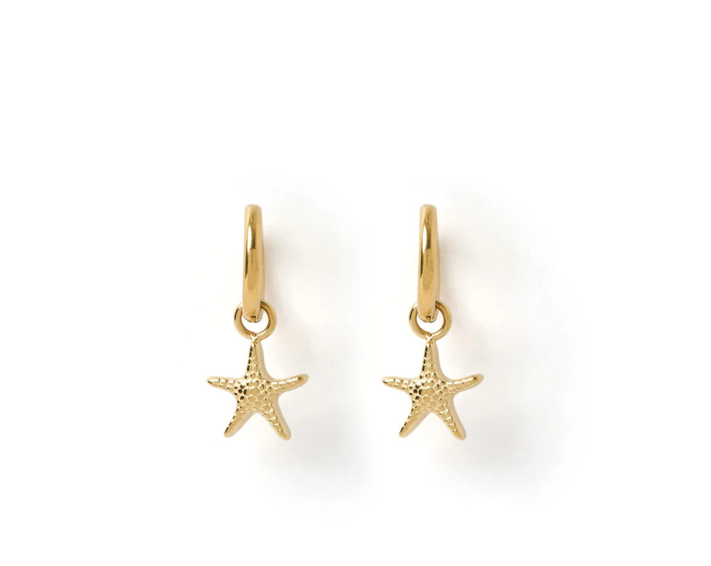 Sea Star Gold Earrings