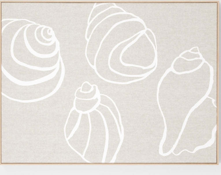 Shell collect 75x100