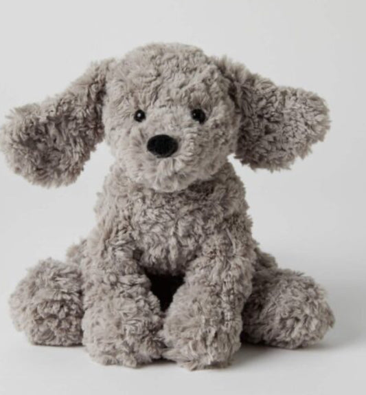 Scrampy the puppy