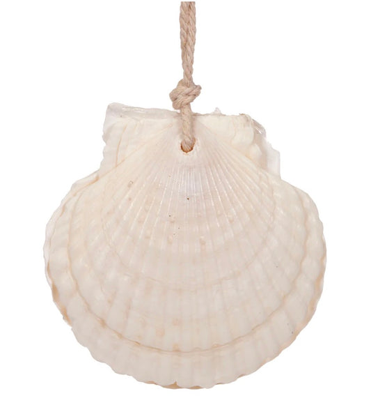 Hanging Clam Ornament