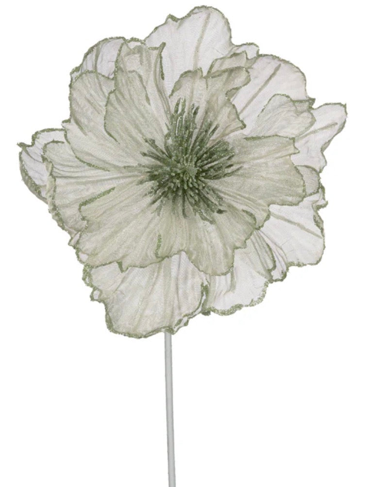 Mint Platinum Ruffle Poinsettia