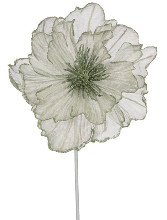 Mint Platinum Ruffle Poinsettia