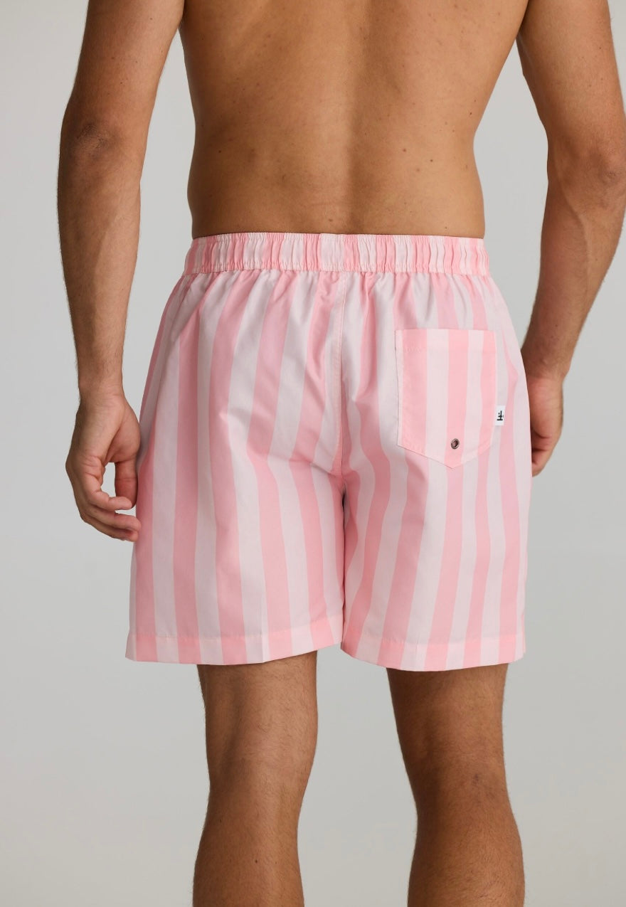 Dartmouth Board Short