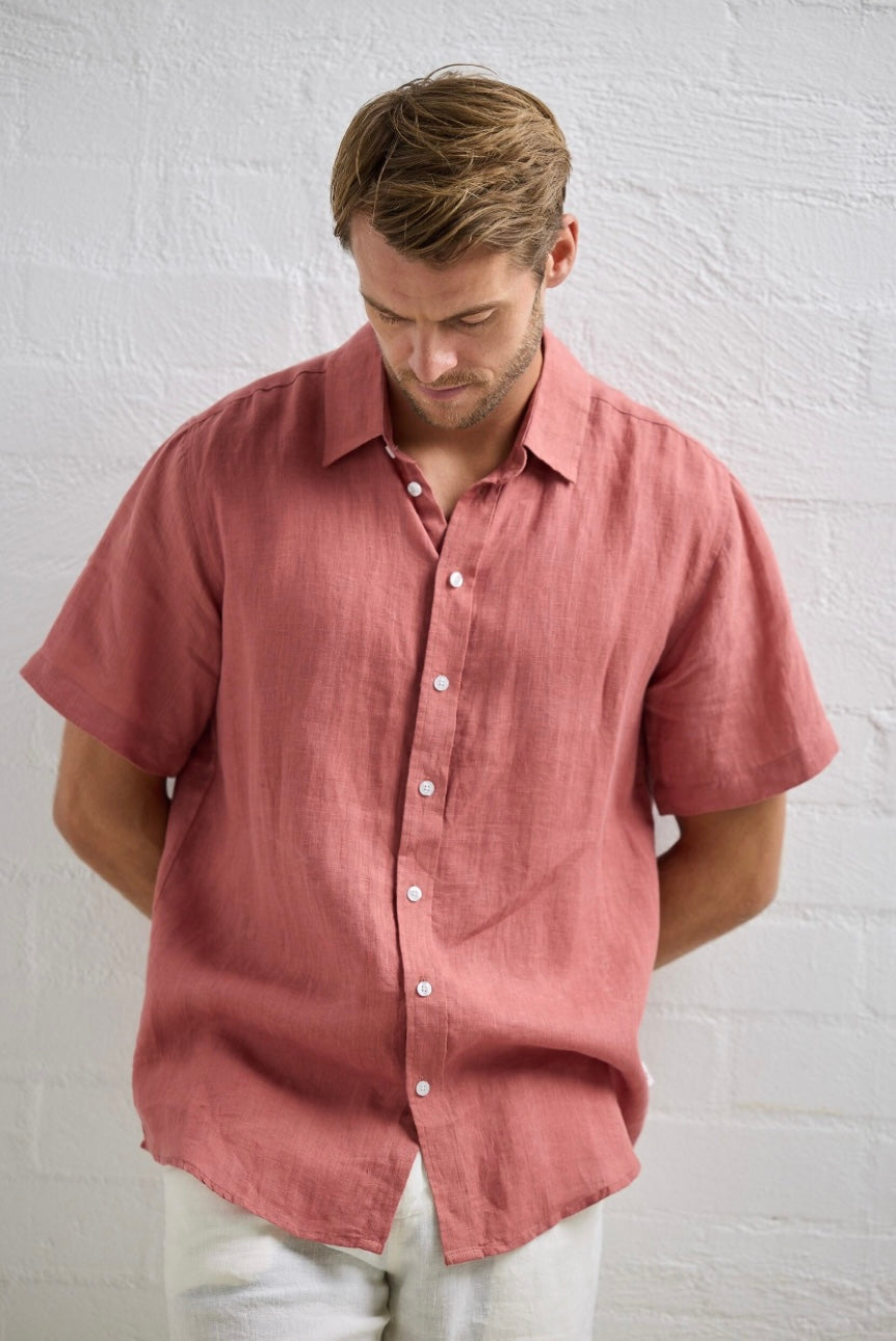 Harvard Shirt