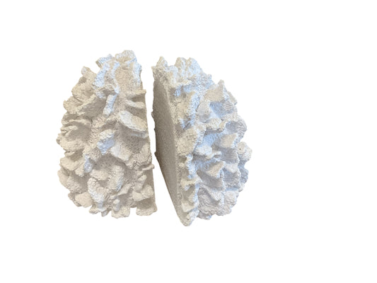 Coral S/2 Resin Bookends