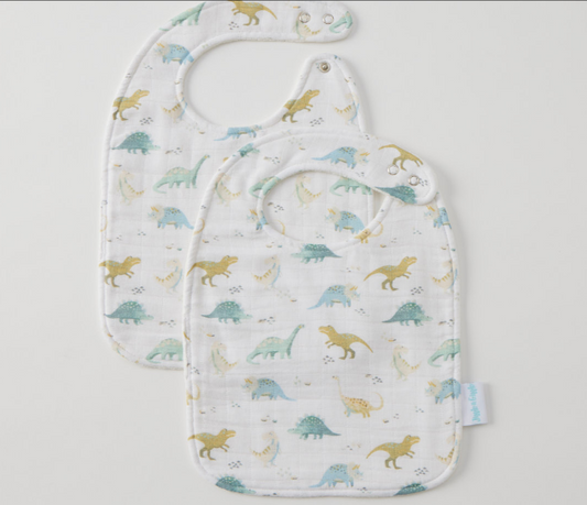 Dallying Dinosaurs Bib Set of 2