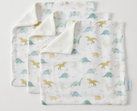 Dallying Dinosaurs Face Washer Set of 3