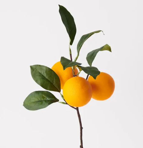 Fruit Orange Spray