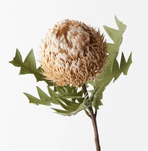 Banksia Acorn Light Pink