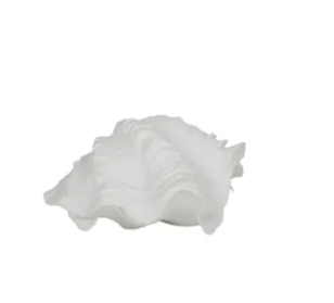Clam Resin Shell 14x7x10cm White