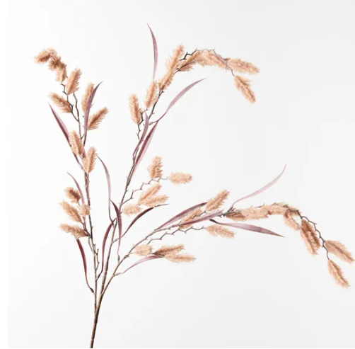 Dogtail Grass Spray