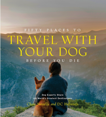 50 Places to Travel With Your Dog