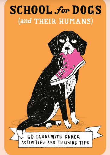 School for Dogs & Their Humans