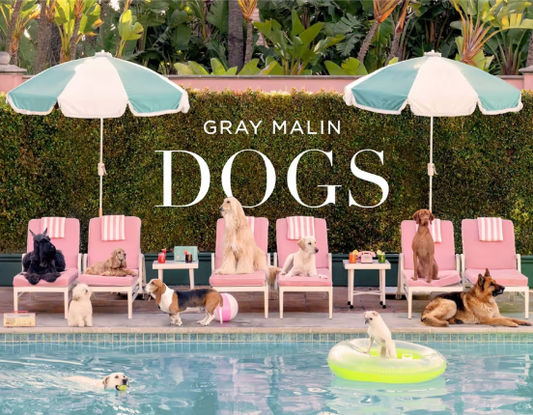 Gray Malin Dog