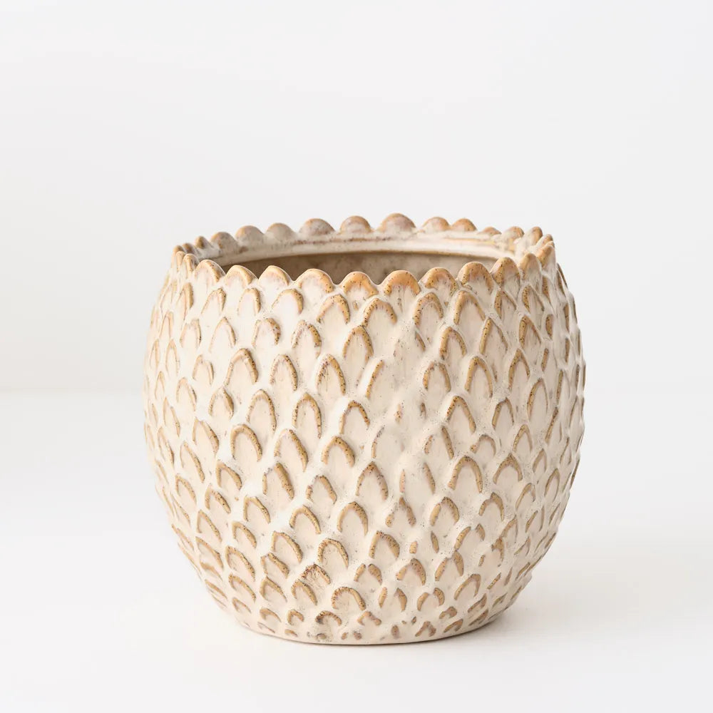 Skalee Pot