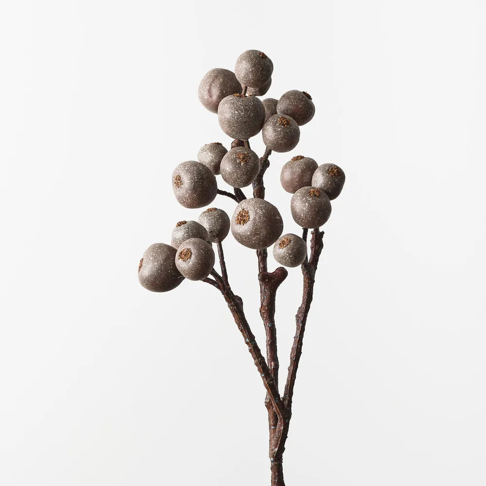 Loquat Spray